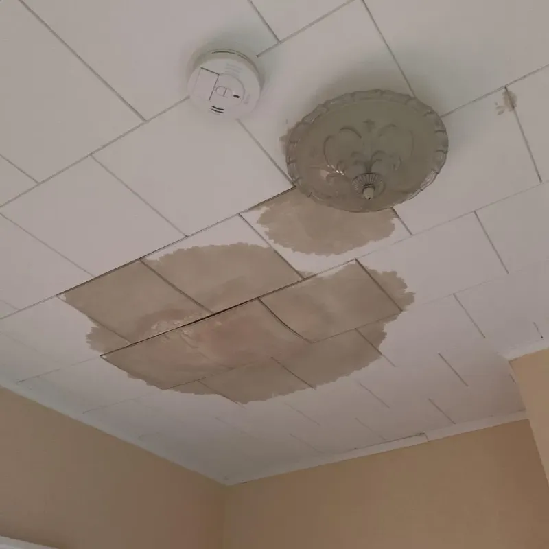 Ceiling Water Damage Repair in West Gulfport, MS