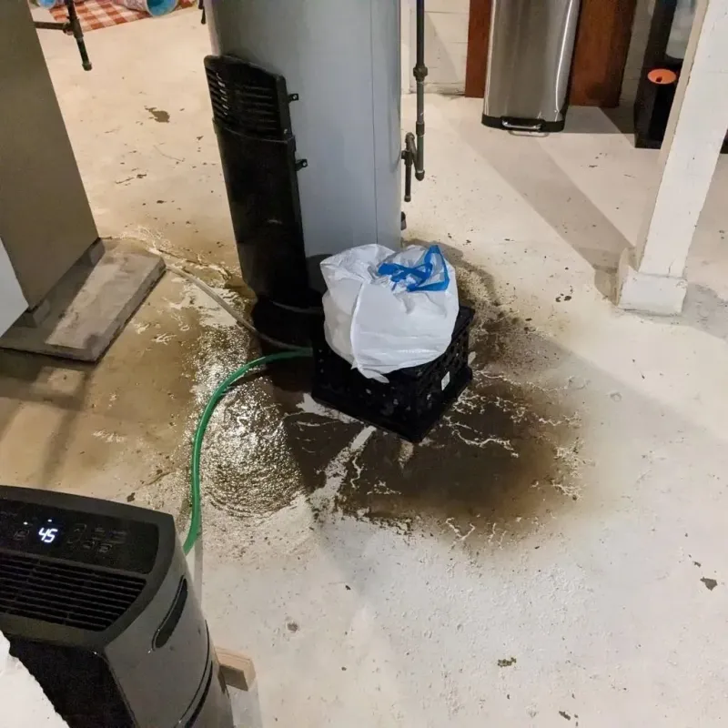 Sewage Backup Cleanup Service in West Gulfport, MS